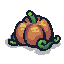 medium pumpkin
